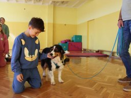 58246336713069383845674401157590265864963953n